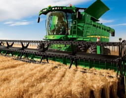 朱砂根的種植方法，選種、幼苗期管理、施肥、移栽、病蟲害防治